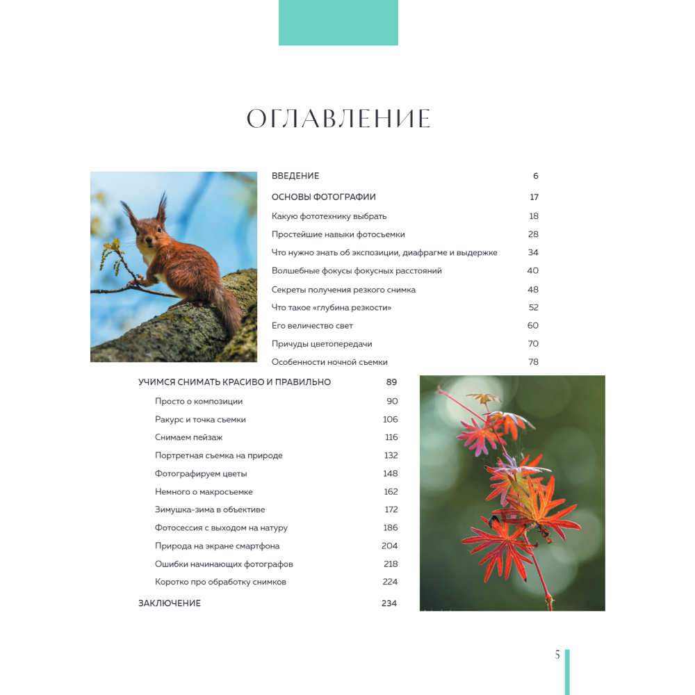 Книга "Фотография. Руководство по съемке природных сюжетов", Андрей Лысиков - 2