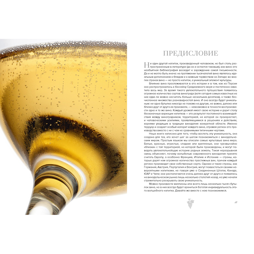 Книга "Маленькая книга гурмана. Вино", Якопо Коссатер, Фабио Петрони - 3