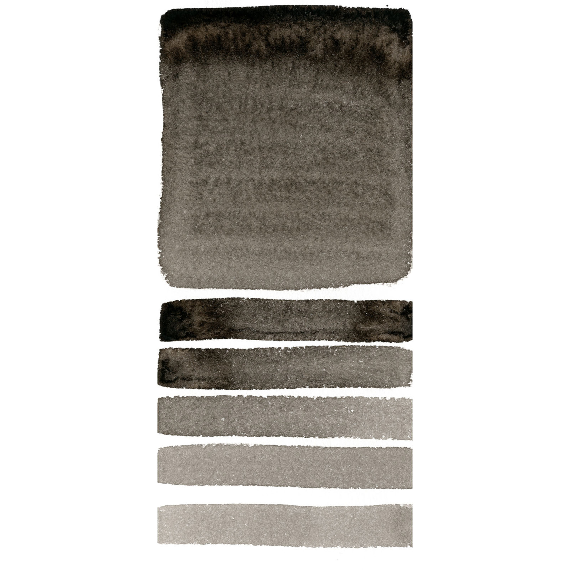 Краски акварельные Daniel Smith, коричневый ван Дейк, 5 мл, туба - 3