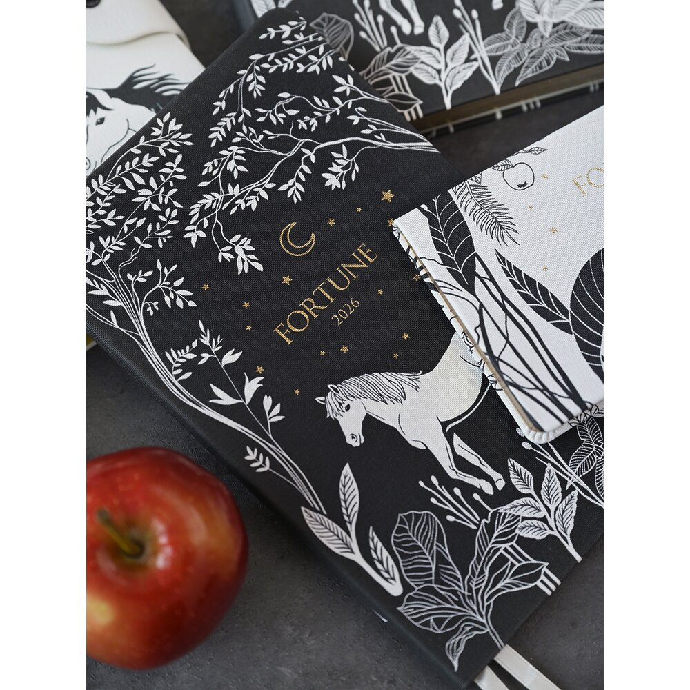 Ежедневник датированный "Fortune", А5, 128 страниц, черный, 2026 - 7