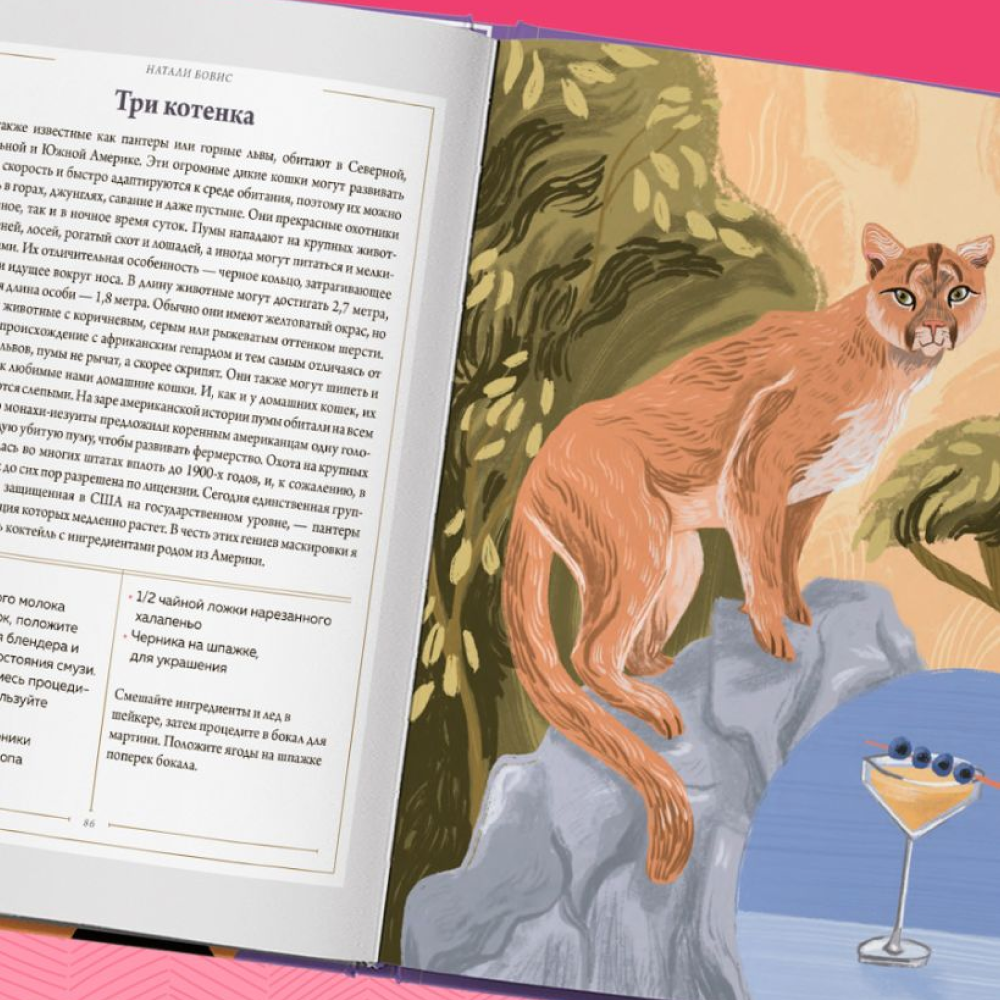 Книга "Кот коктейля. Рецепты напитков с кошачьей харизмой", Натали Бовис - 5
