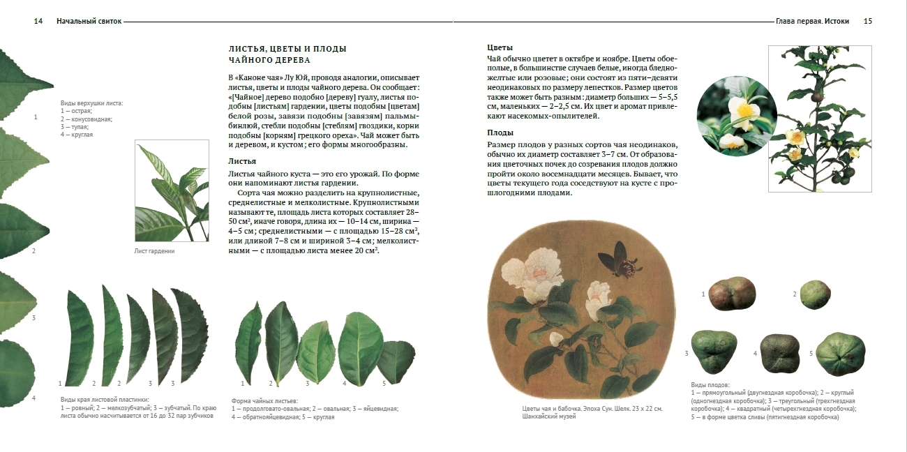 Книга "Канон чая в иллюстрациях", Цю Цзипин - 3