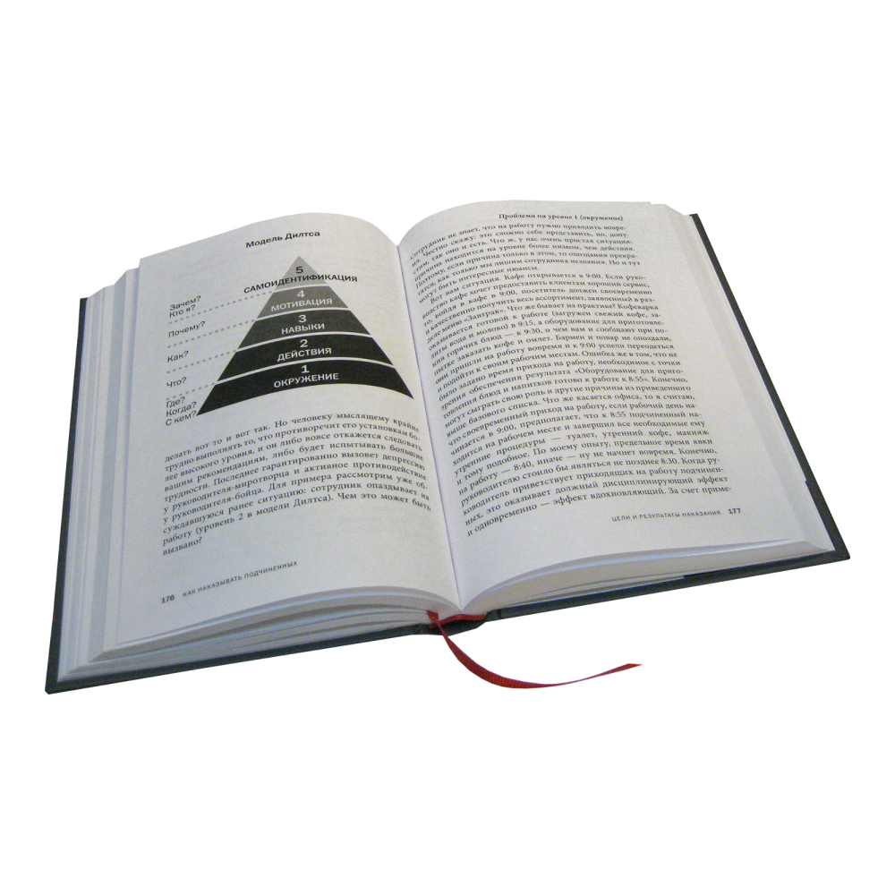 Книга "Как наказывать подчиненных. За что, для чего, каким образом", Александр Фридман - 7