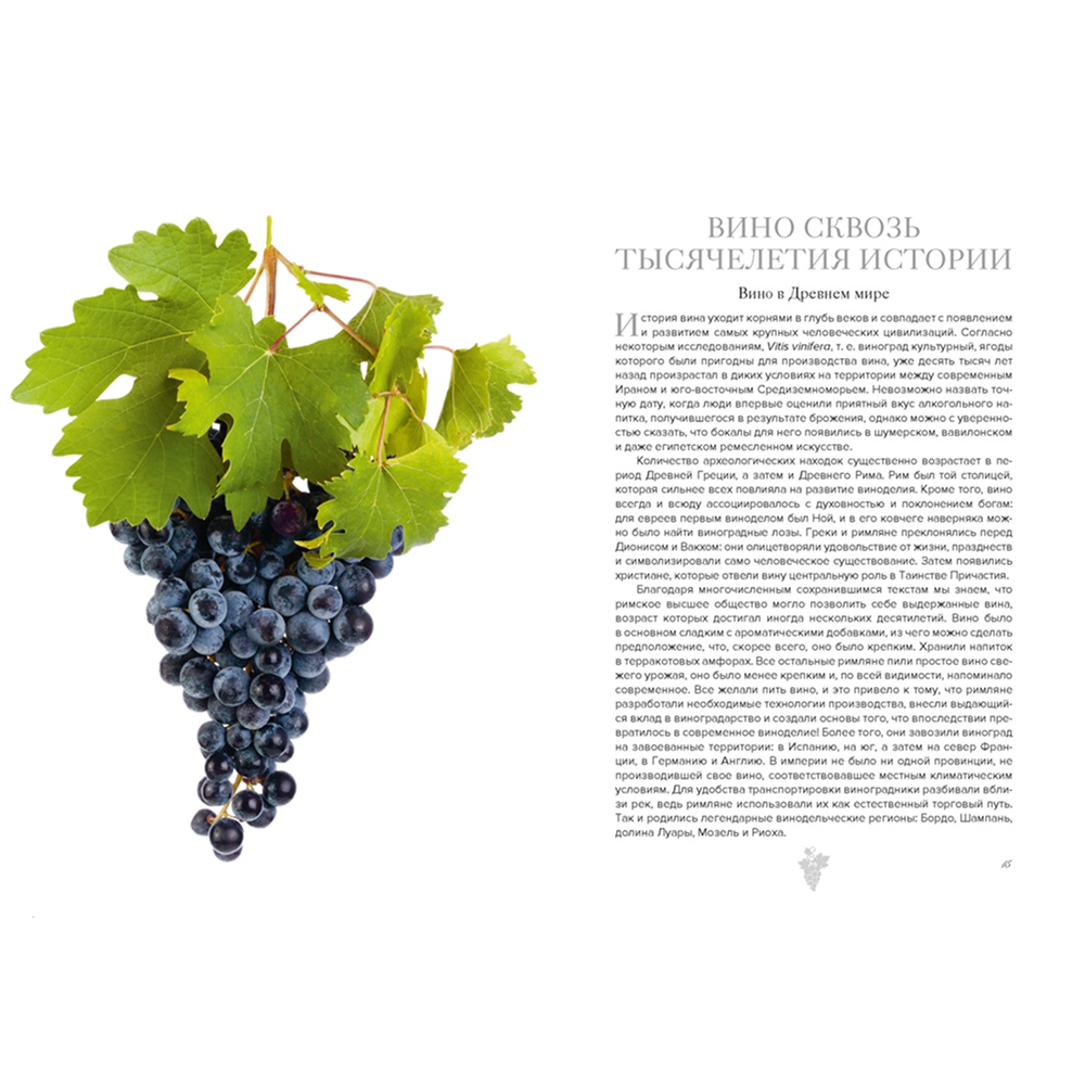 Книга "Маленькая книга гурмана. Вино", Якопо Коссатер, Фабио Петрони - 4