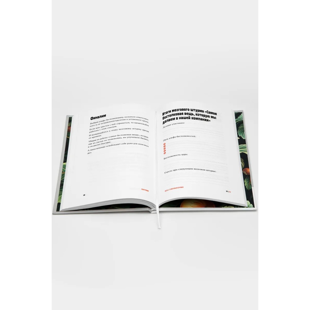 Книга "Поштурмим?", Игорь Манн, Дмитрий Турусин - 6