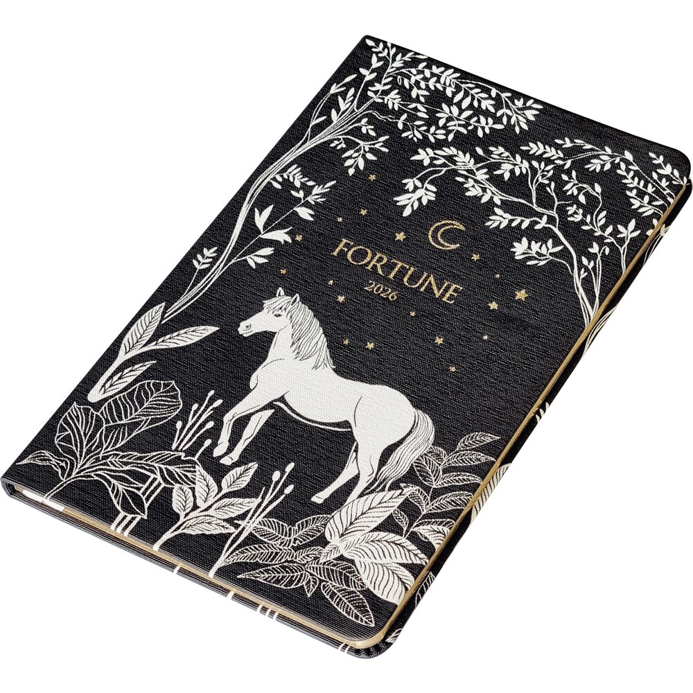 Ежедневник датированный "Fortune", А5, 128 страниц, черный, 2026 - 2