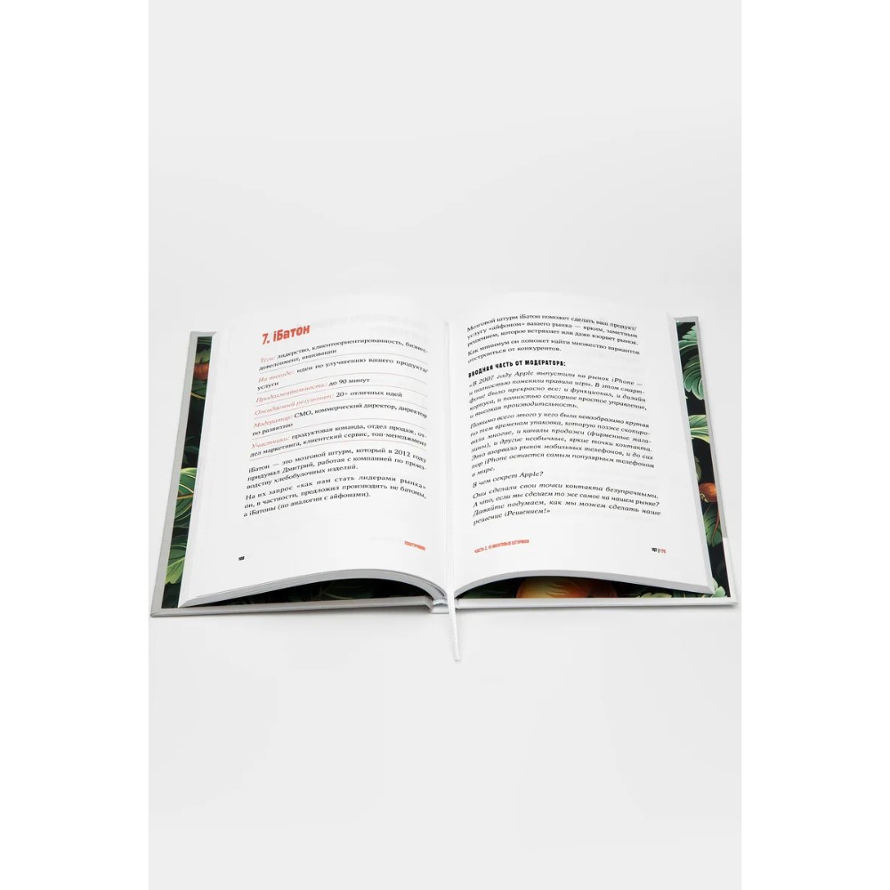 Книга "Поштурмим?", Игорь Манн, Дмитрий Турусин - 4