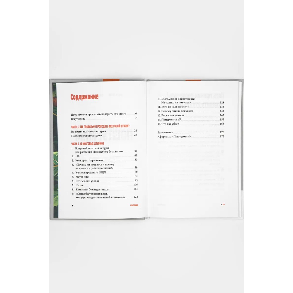 Книга "Поштурмим?", Игорь Манн, Дмитрий Турусин - 3