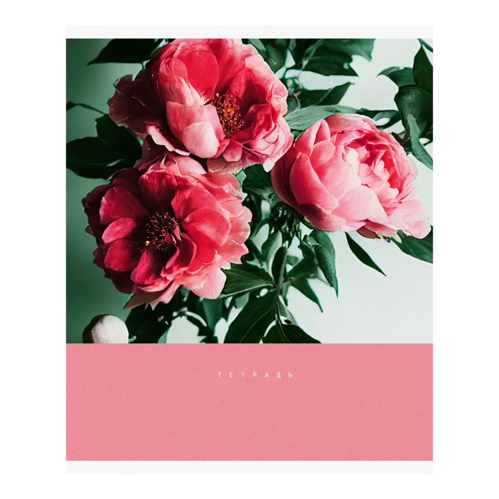 Тетрадь "Цветочный сад", А5, 48 листов, клетка, скоба сбоку, ассорти - 3