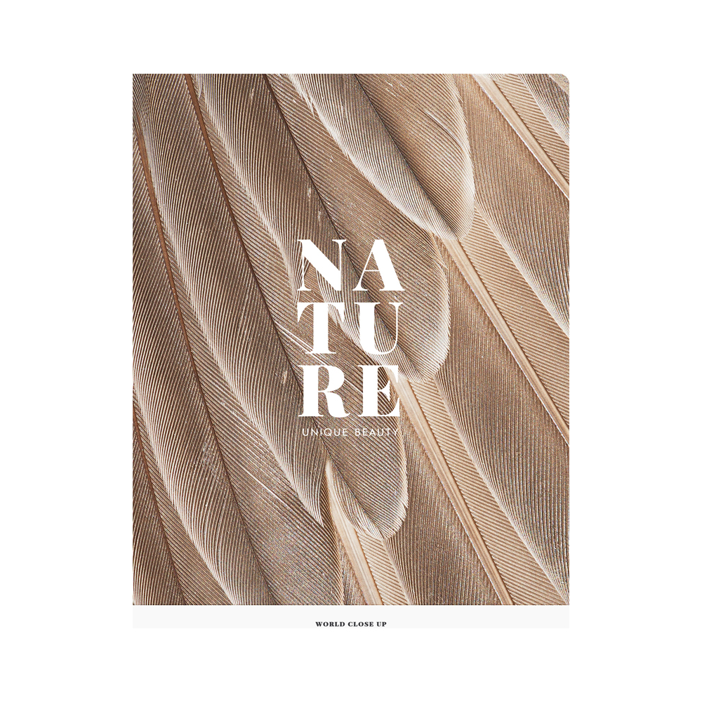 Тетрадь "Nature", А4, 48 листов, клетка, ассорти - 3